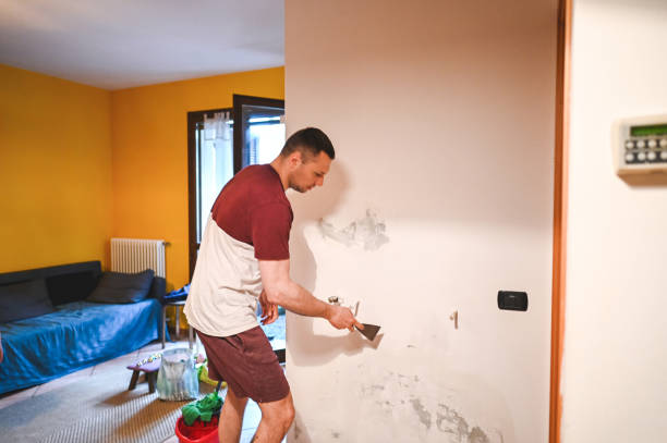 Best Attic Mold Removal  in Spearville, KS